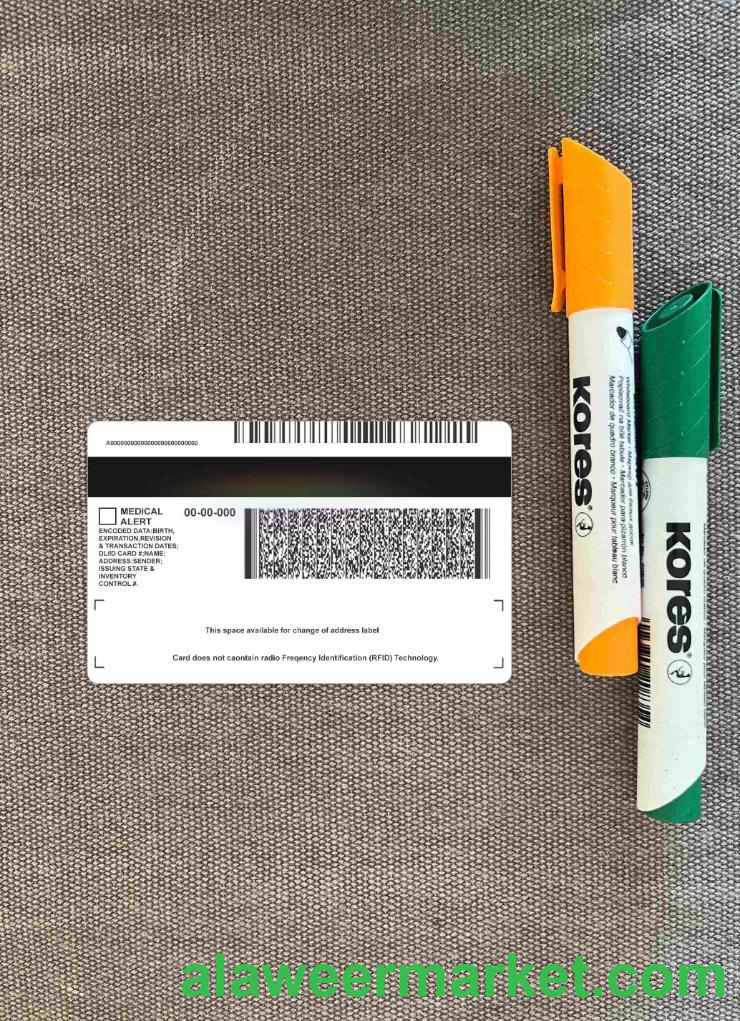USA Michigan driving license under 21 photolook BACK